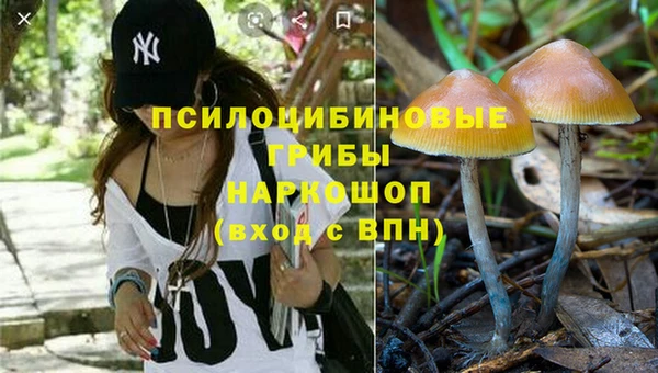 герыч Аркадак