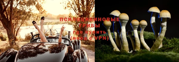 мяу мяу мука Армянск