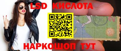 прущие грибы Первоуральск
