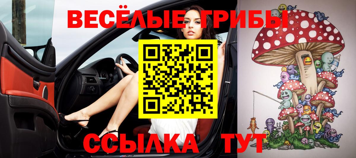 продажа наркотиков  Псилоцибиновые грибы ЛСД  Вход с VPN  Усть-Илимск 